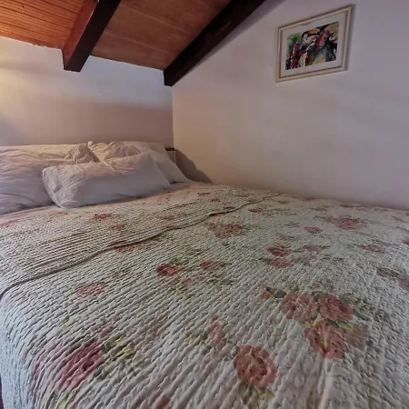Apartment Divina *